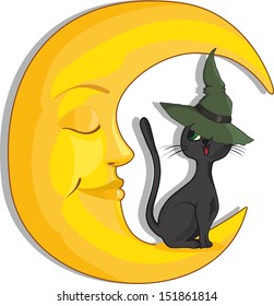 cat sitting on the moon