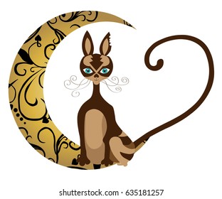 cat sitting on the moon with a long tail