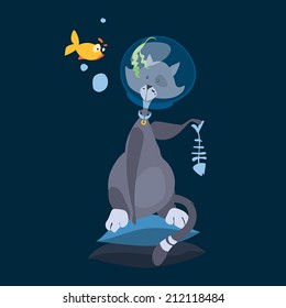 Cat sitting on pillow with aquarium and fish
