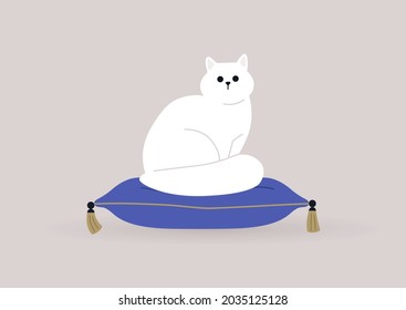 A cat sitting on a pillow with golden tassels, domestic pets