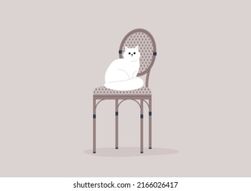 A cat sitting on a rattan outdoor cafe chair, French lifestyle 