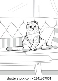 cat sitting on sofa line drawing