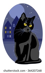 Cat is sitting on the street