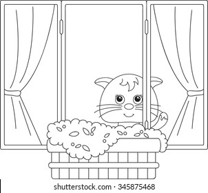 Cat sitting on the window with flower pots and curtains. Coloring book. Vector illustration