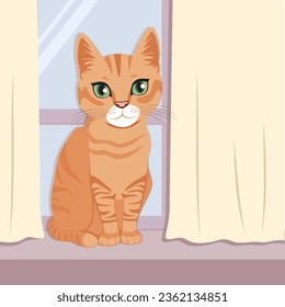 Cat sitting on window indoors between curtains at home. Domestic pet kitten resting on the windowsill at home in sunny day