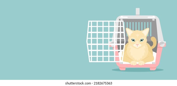 A cat sitting in an open pink and gray pet carrier on a blue background with copy space. Flat vector illustration