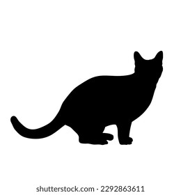 cat Sitting side view  silhouette, vector, cat breeds, pet, animals cat.