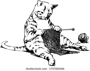 cat sitting upright and knitting a scarf