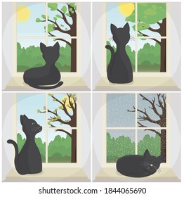 Cat sitting in window all seasons