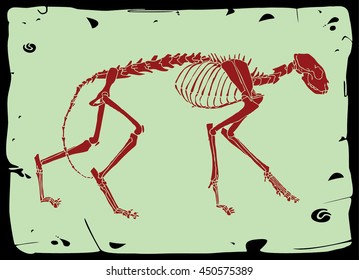 Cat skeleton illustration