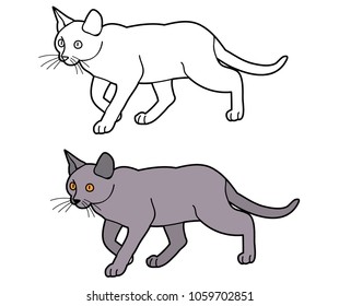 cat, cat sketch