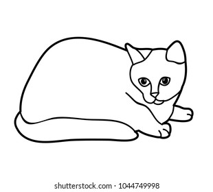 cat sketch on white background