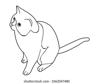 cat, sketch on white background