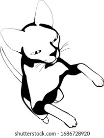 Cat sketch on a white background. Sphynx silhouette