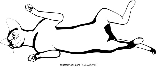 Dibujo de un gato sobre fondo blanco. Silueta Sphynx