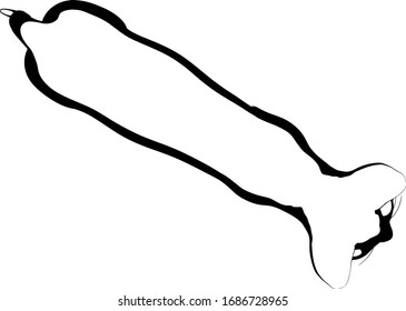 Cat sketch on a white background. Sphynx silhouette