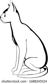 Cat sketch on a white background. Sphynx silhouette vector