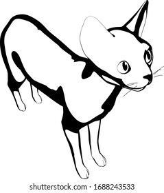 Dibujo de un gato sobre fondo blanco. Vector de silueta Sfinx