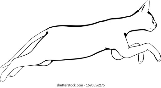 Dibujo de un gato sobre fondo blanco. Vector de silueta Sfinx