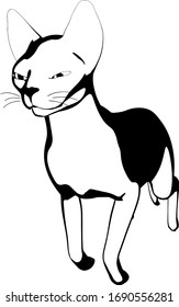 Dibujo de un gato sobre fondo blanco. Vector de silueta Sfinx