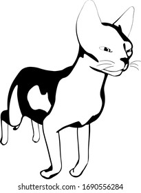 Cat sketch on a white background. Sphynx silhouette vector