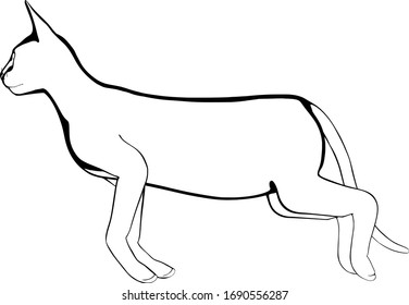 Cat sketch on a white background. Sphynx silhouette vector