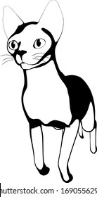 Dibujo de un gato sobre fondo blanco. Vector de silueta Sfinx