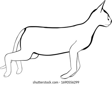 Dibujo de un gato sobre fondo blanco. Vector de silueta Sfinx
