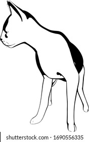 Cat sketch on a white background. Sphynx silhouette vector