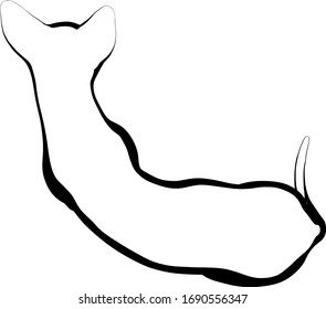 Cat sketch on a white background. Sphynx silhouette vector