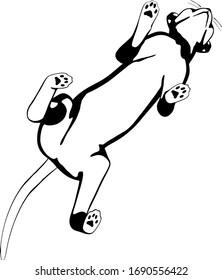 Katzen-Skizze auf weißem Hintergrund. Sphynx-Silhouette-Vektorillustration
