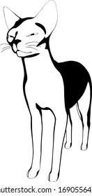 Cat sketch on a white background. Sphynx silhouette vector