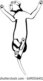 Dibujo de un gato sobre fondo blanco. Vector de silueta Sfinx