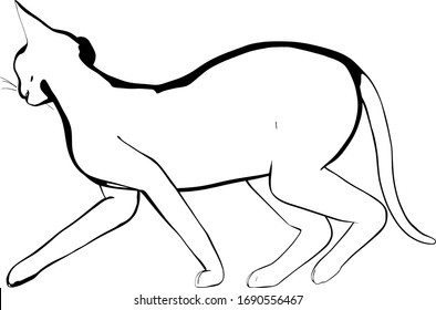 Katzen-Skizze auf weißem Hintergrund. Sphynx-Silhouette-Vektorillustration