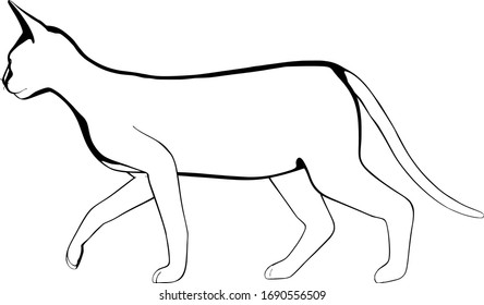 Dibujo de un gato sobre fondo blanco. Vector de silueta Sfinx