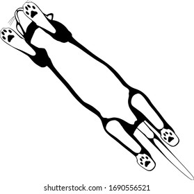 Cat sketch on a white background. Sphynx silhouette vector