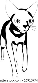 Cat sketch on a white background. Sphynx silhouette vector