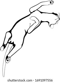 Katzen-Skizze auf weißem Hintergrund. Sphynx-Silhouette-Vektorgrafik