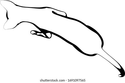 Dibujo de un gato sobre fondo blanco. Vector de silueta Sfinx