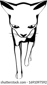 Cat sketch on a white background. Sphynx silhouette vector