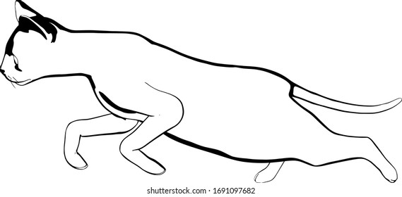 Dibujo de un gato sobre fondo blanco. Vector de silueta Sfinx