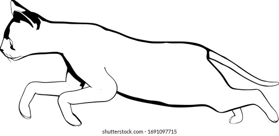 Katzen-Skizze auf weißem Hintergrund. Sphynx-Silhouette-Vektorillustration