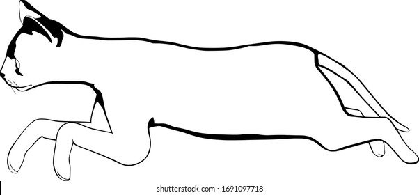 Cat sketch on a white background. Sphynx silhouette vector