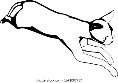 Dibujo de un gato sobre fondo blanco. Vector de silueta Sfinx