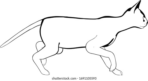Katzen-Skizze auf weißem Hintergrund. Sphynx-Silhouette-Vektorillustration