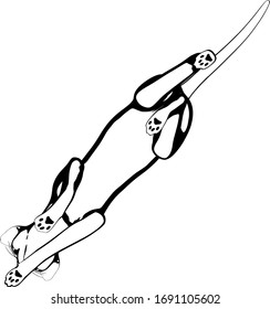 Dibujo de un gato sobre fondo blanco. Vector de silueta Sfinx
