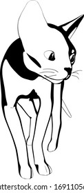 Dibujo de un gato sobre fondo blanco. Vector de silueta Sfinx