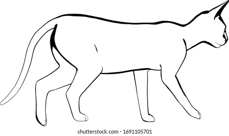 Dibujo de un gato sobre fondo blanco. Vector de silueta Sfinx
