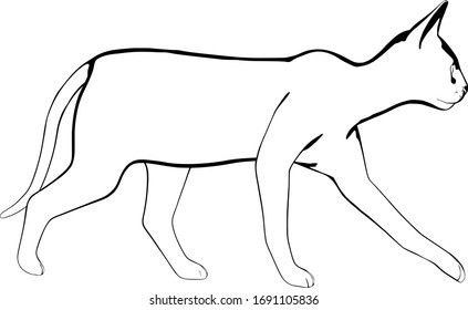 Dibujo de un gato sobre fondo blanco. Vector de silueta Sfinx