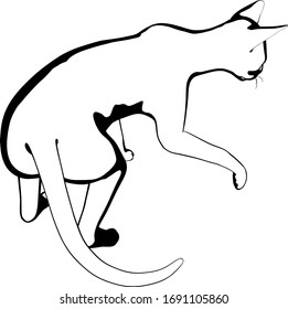 Dibujo de un gato sobre fondo blanco. Vector de silueta Sfinx